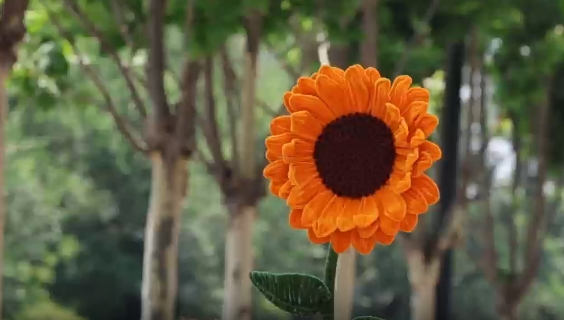 視頻|中考今日（18日）結(jié)束，6月25日18時(shí)可查考試成績(jī)