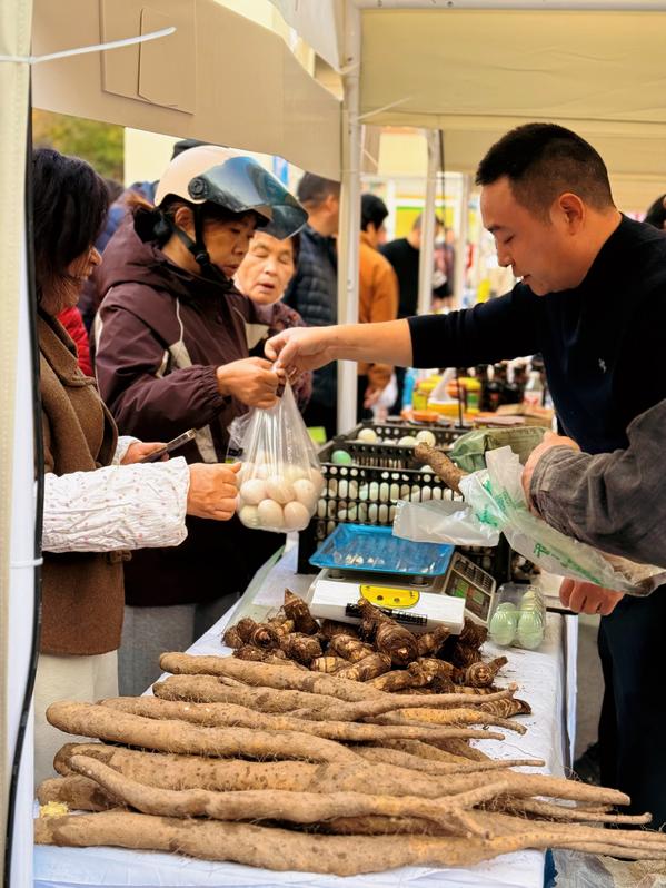 微信圖片_20251122175833_27_679