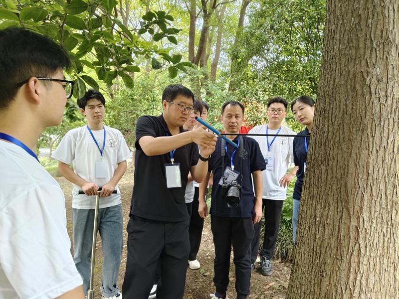 給古樹名木“精準畫像” | 南通379株百年古樹全面“建檔”