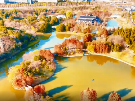 冬日航拍：南通嗇園景色如畫(huà)