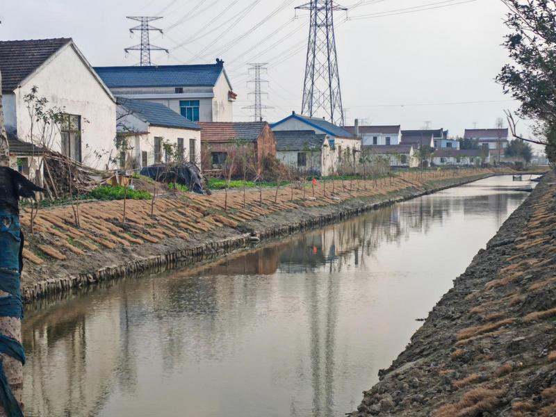 綠美項(xiàng)目 (2)