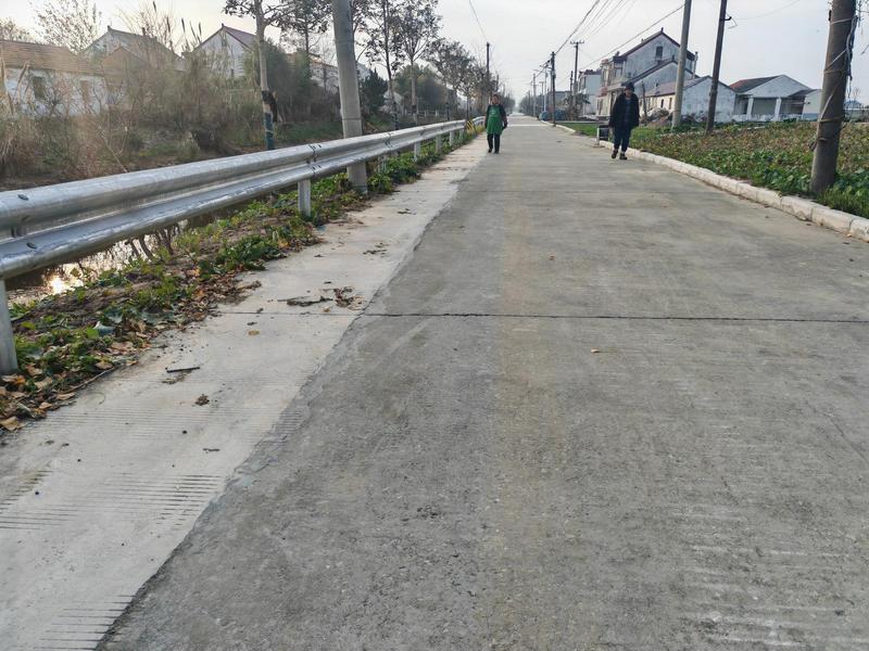 周鳳正在路上散步