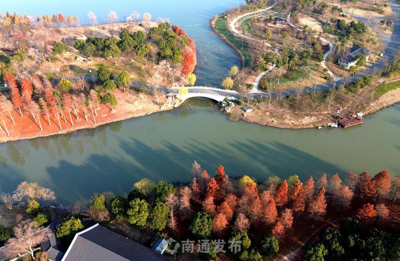 色彩為箋 草木為墨丨航拍南通植物園冬韻